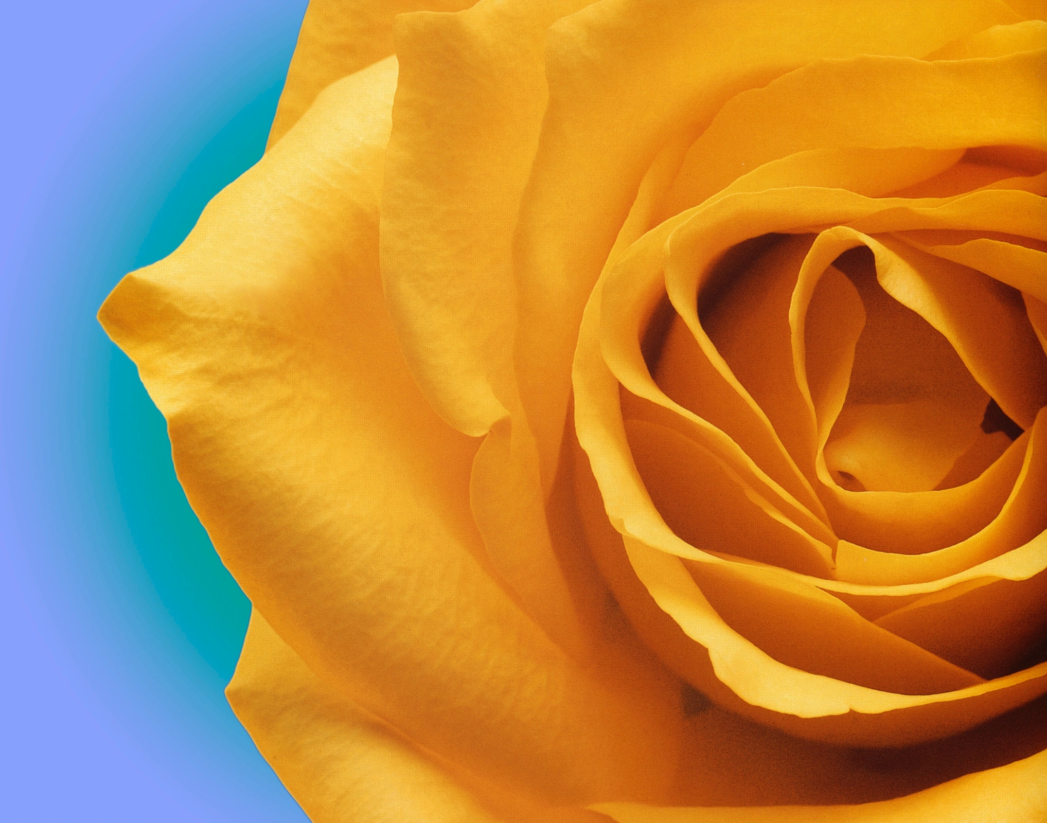 Aromarketing Strategies